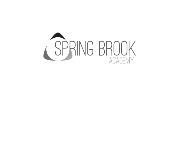 Spring Brook Academy Home