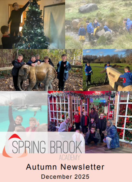 Spring Brook Lower Autumn Newsletter - December 2025