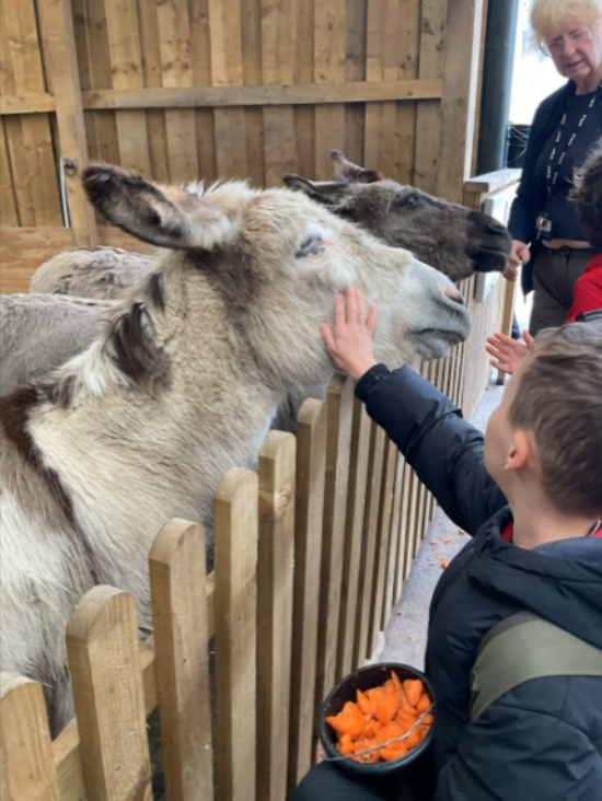 Class 5 - Reddish Vale Farm