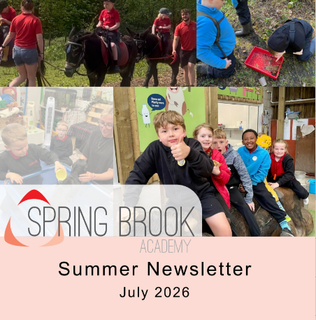 Spring Brook Lower Summer Newsletter - July 2026