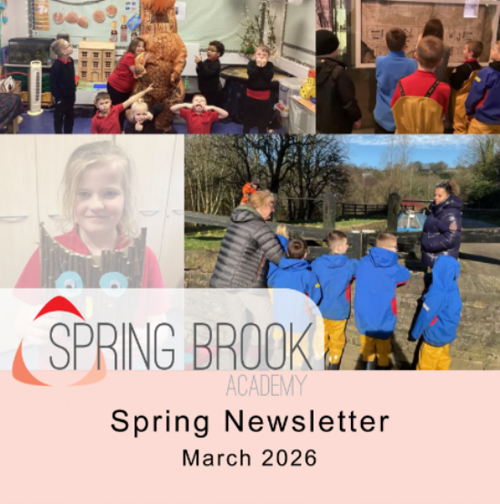 Spring Brook Academy - Home